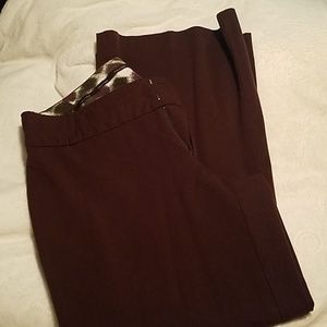 Maurices chocolate dress pants 18